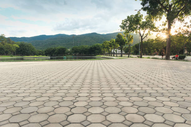 Best Local Driveway Pavers  in Fall Creek, WI